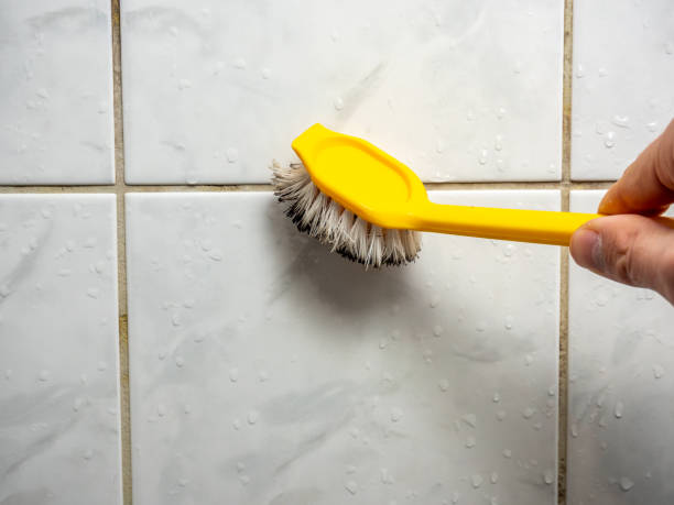 Best Mold Testing  in Lindon, UT
