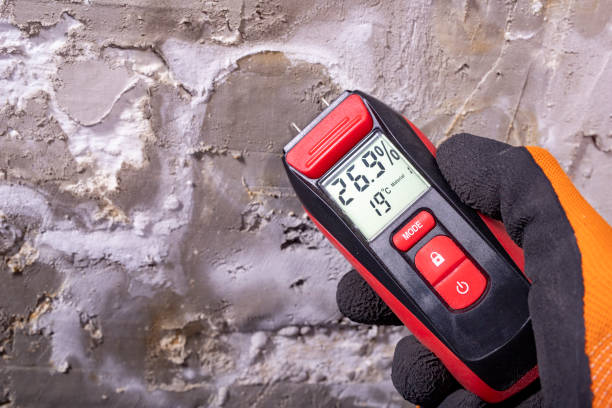 Best Water Damage Restoration  in Lindon, UT